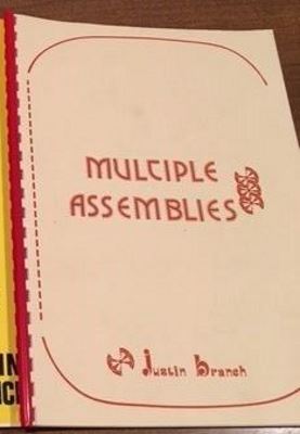 Branch: Multiple Assemblies