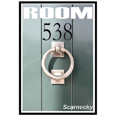 Room 538