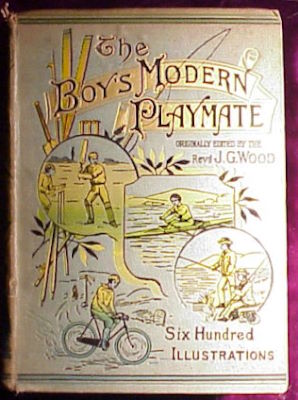 J.G. Wood: The Boy's Modern Playmate